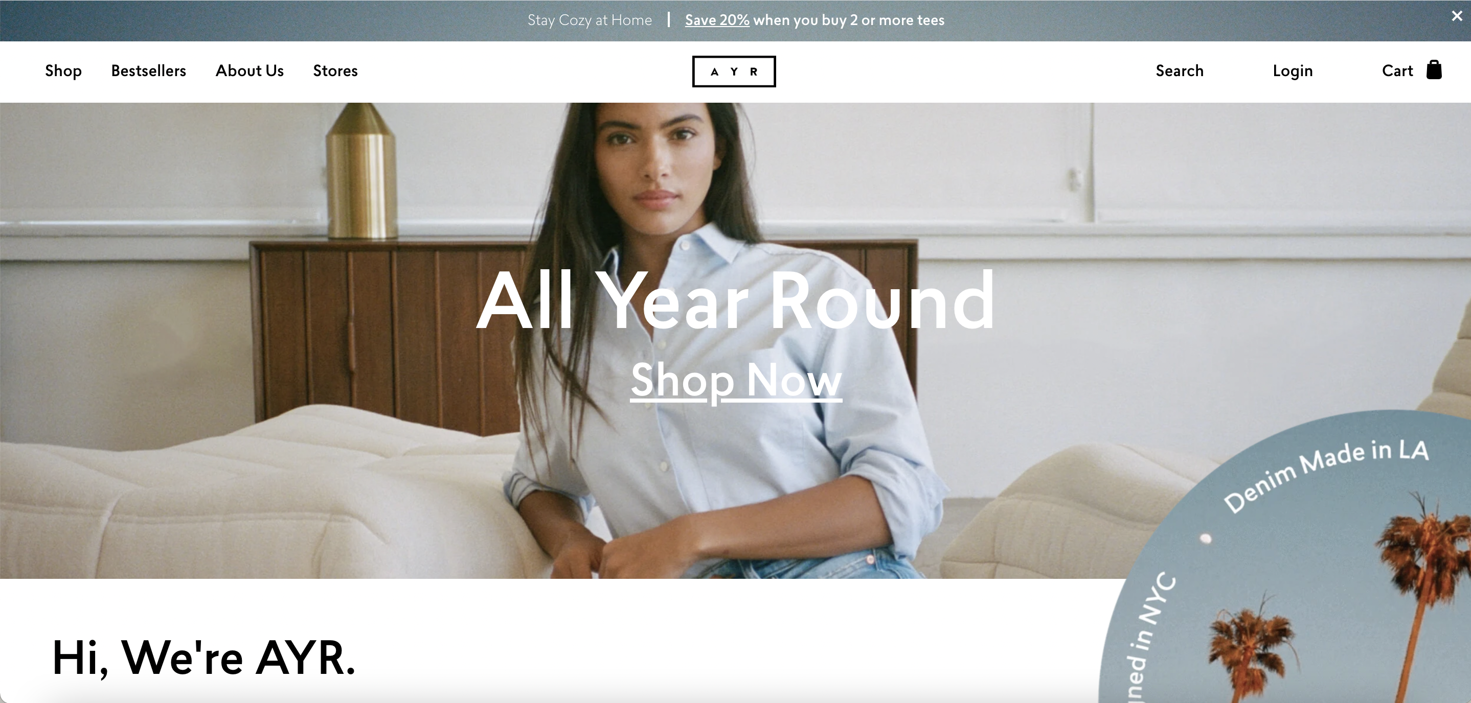 Screenshot from AYR's website