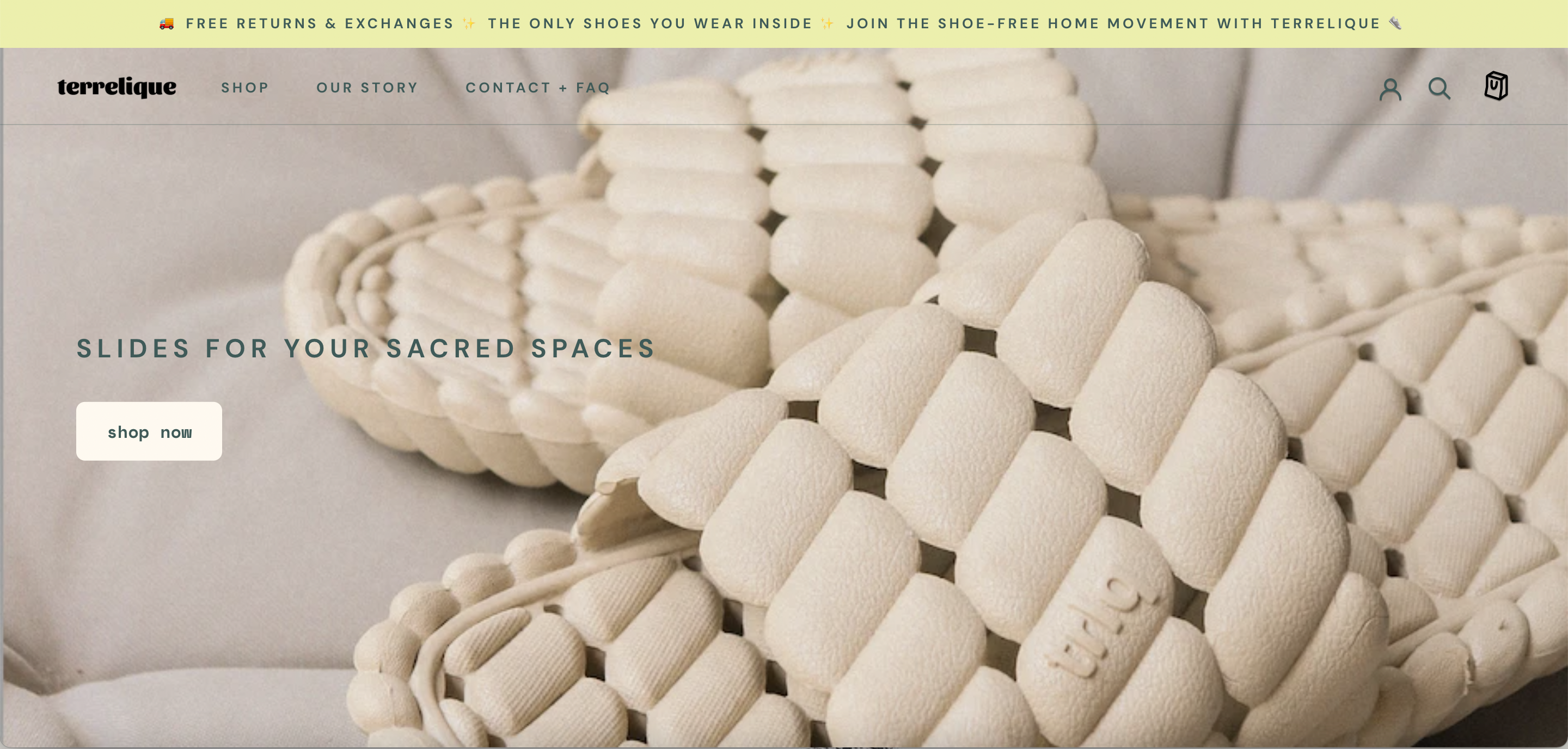 Screenshot from Terrelique's website