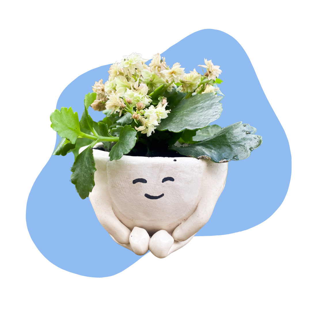 Make Your Own Planter or Vase Pottery Class &mdash; 3/29 (Boston MA)